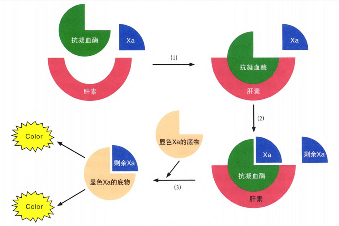 国产抗Xa质量如何？多中心临床研究来告诉你！